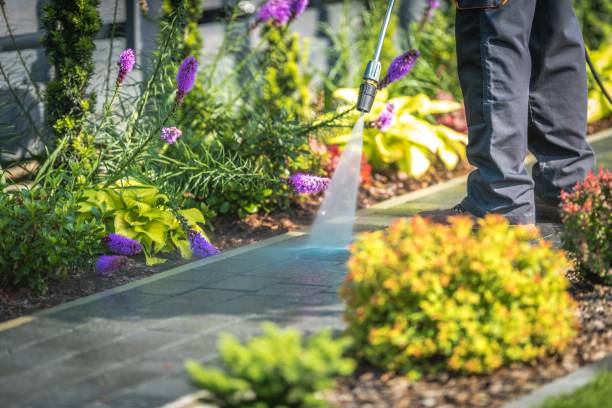 Trusted Faxon, PA Pressure Washing Services Experts